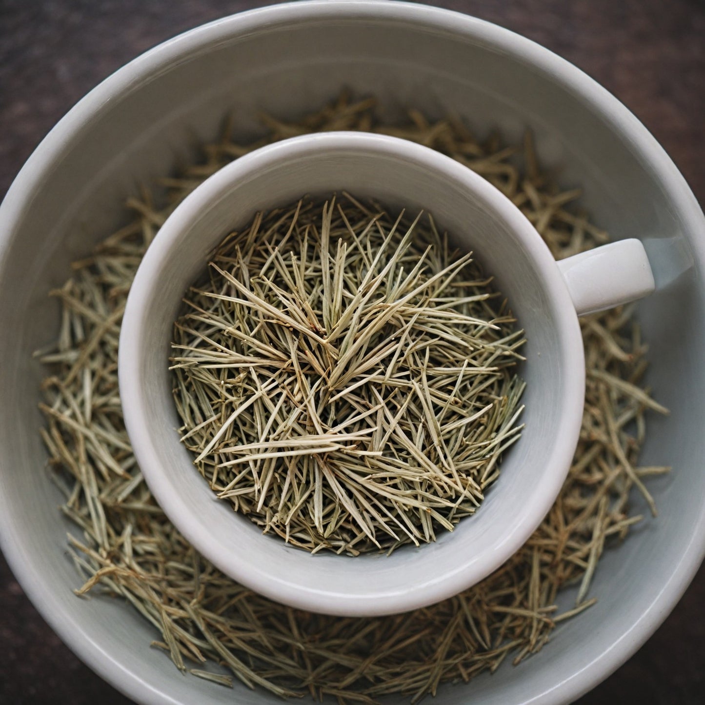 Organic White Pine Needle Tea