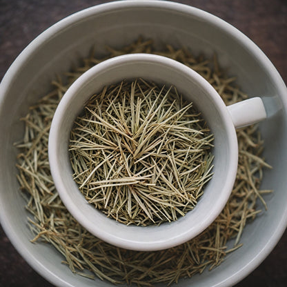 Organic White Pine Needle Tea