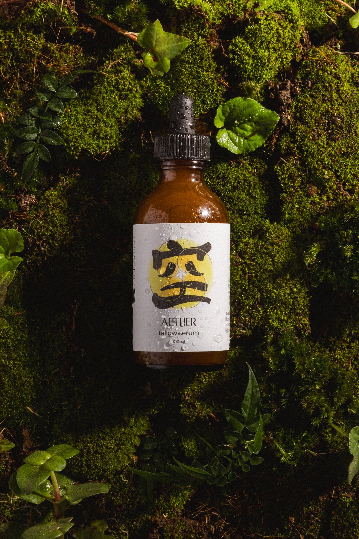 MYOKO |  Aether Tallow Serum